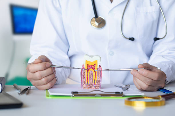 Best Emergency Dentist for Special Needs Patients in Negaunee, MI